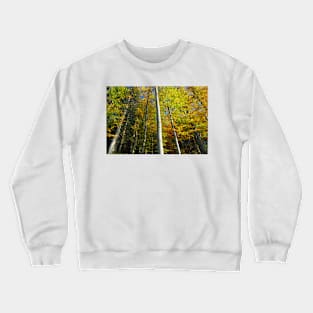 color trees Crewneck Sweatshirt
